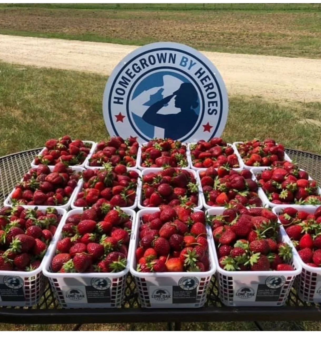 Farmer Veteran Coalition - Mobilizing Veterans To Feed America