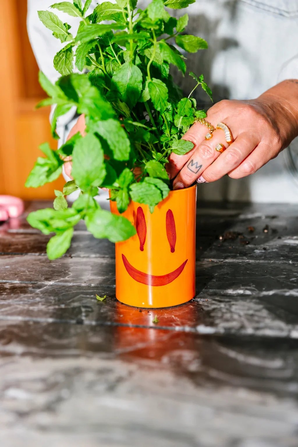 LITTLEPLANTER3.png.webp
