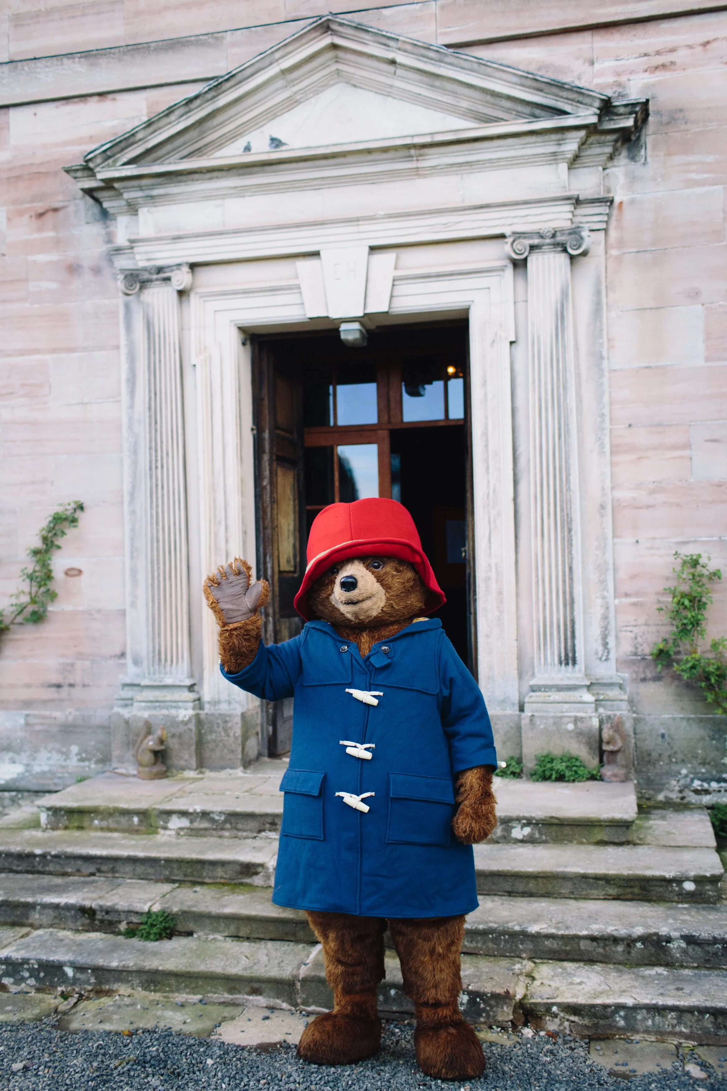 Paddington Bear