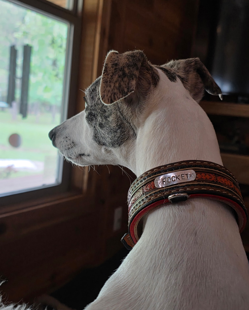 Custom Collar Rocket