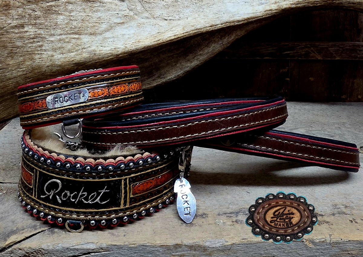Rocket Collars and leash