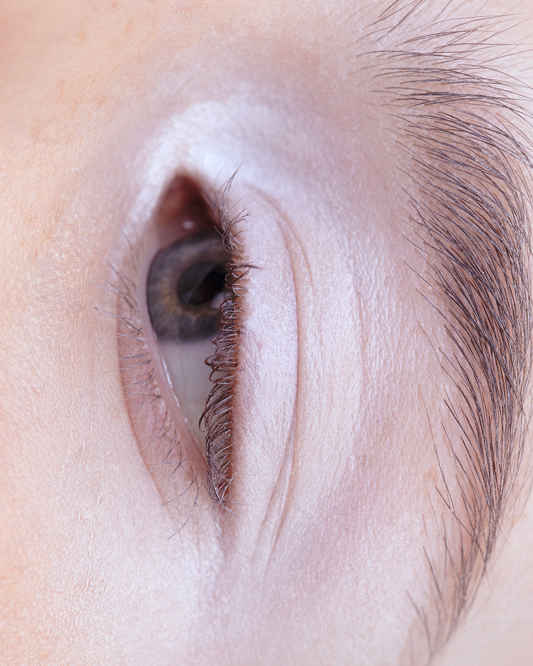 B LASSAILLY S COUTELLE VALERIA 4X5 7.png