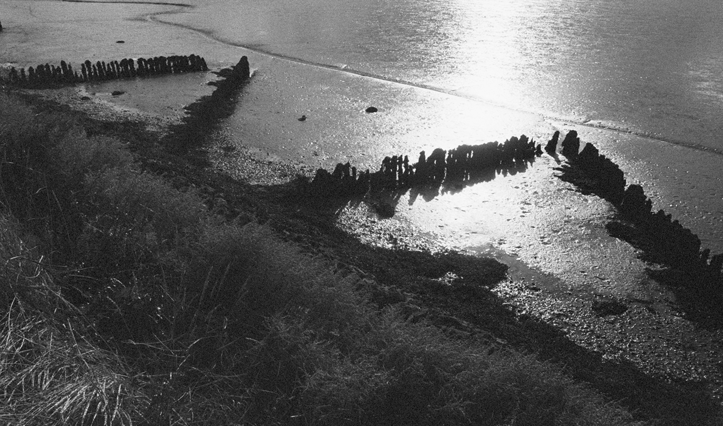  Groynes, River Wall, Ramsholt 2  
Silver gelatin print, edition of 5 
40 × 50 cm 
£ 
 