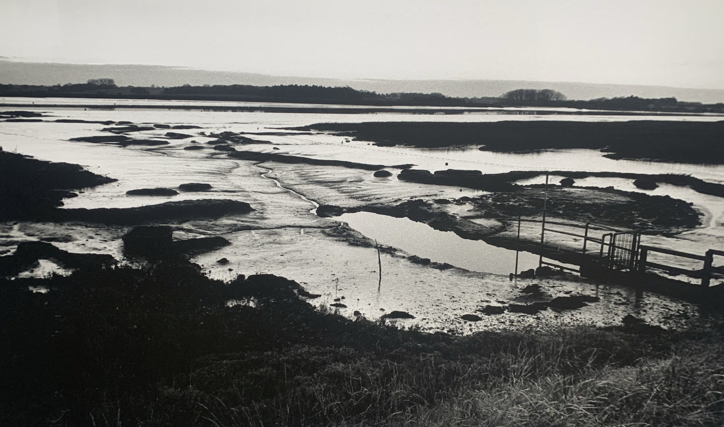 River Deben, Ramsholt  
Silver gelatin print, edition of 5 
40 × 50 cm 
£ 
 