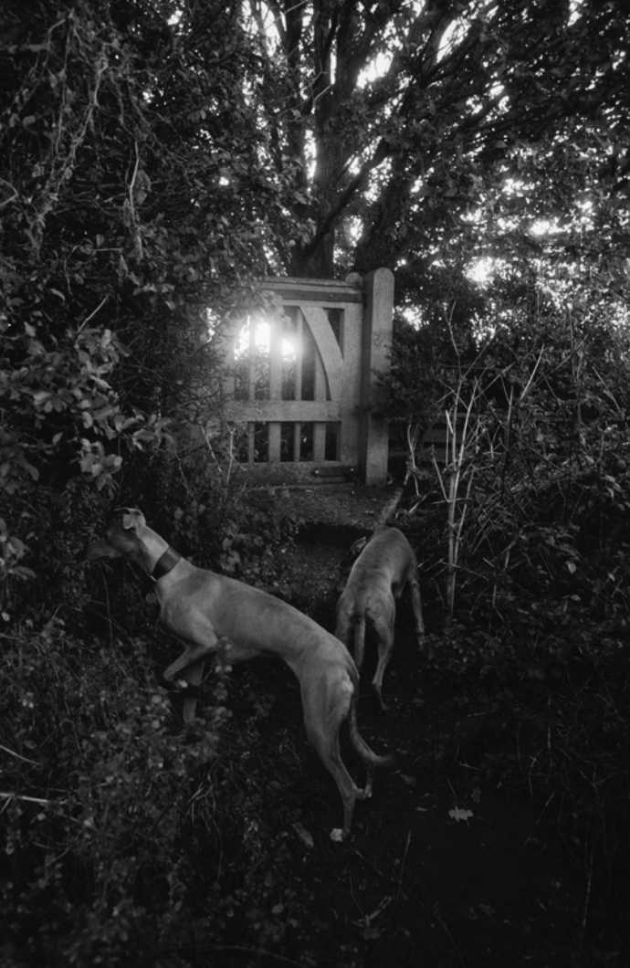  Zelda and Finn, Church Gate, Ramsholt  
Silver gelatin print, edition of 5 
40 × 50 cm 
£ 
 