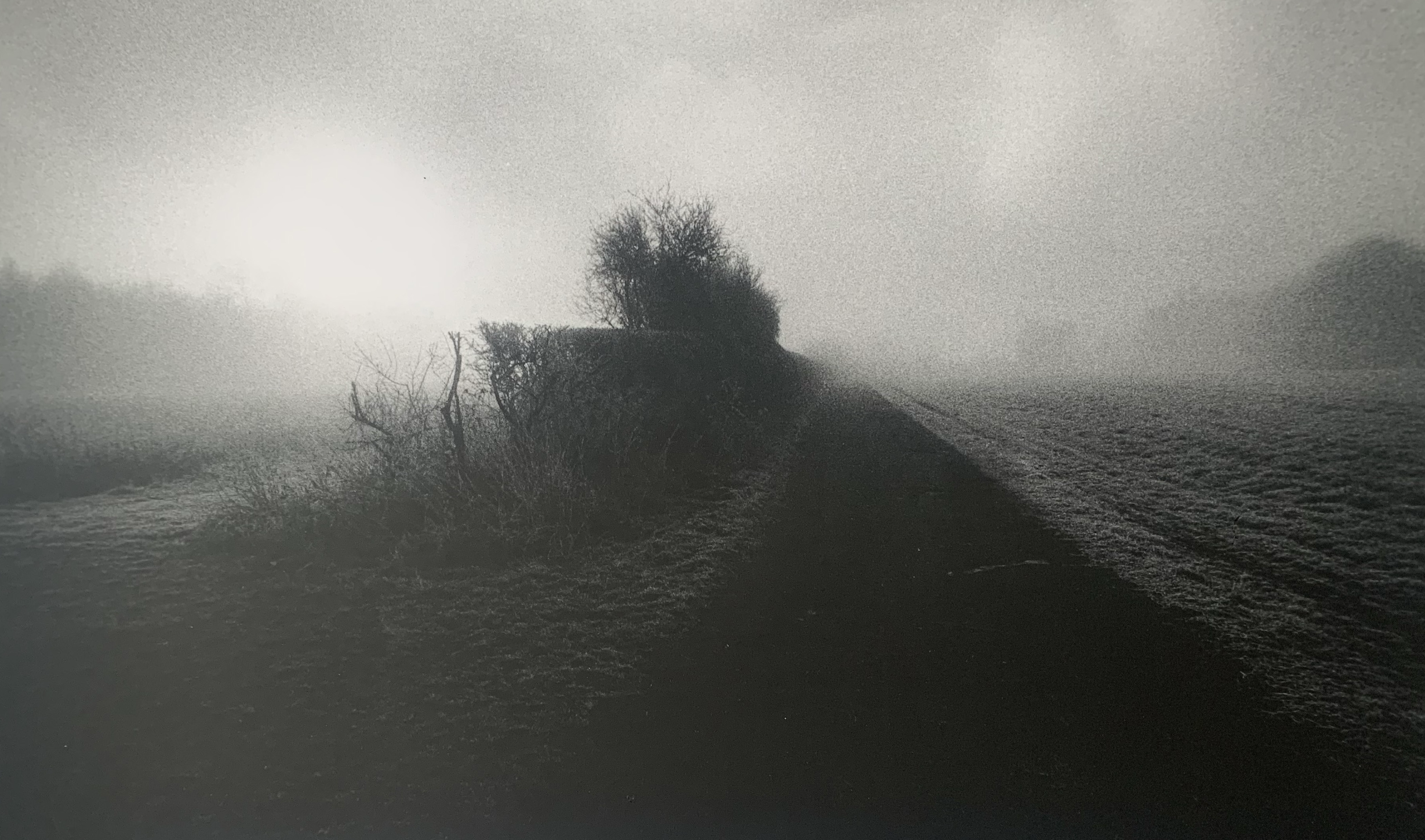 Lane to Valley Cottage, Ramsholt  
Silver gelatin print, edition of 5 
40 × 50 cm 
£ 
 