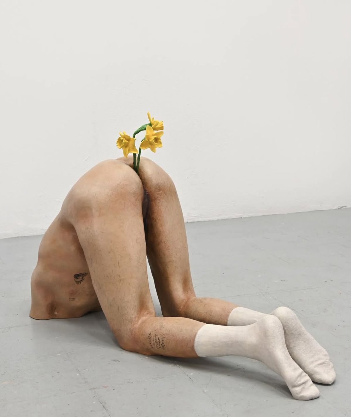 Screenshot 2026-04-17 at 11.27.34.png