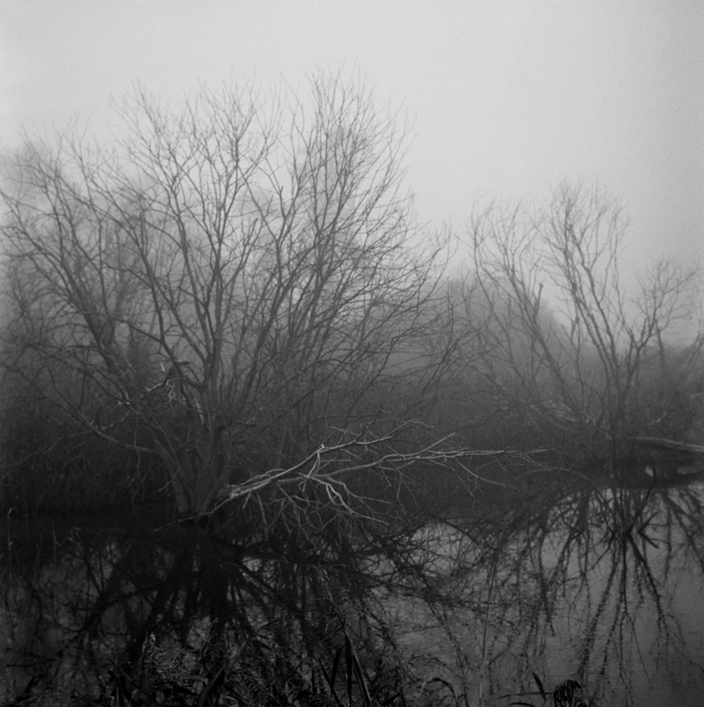  Pool, Keeper's Cottage, Ramsholt  
Inkjet print 
127 × 127 cm 
£ 
 