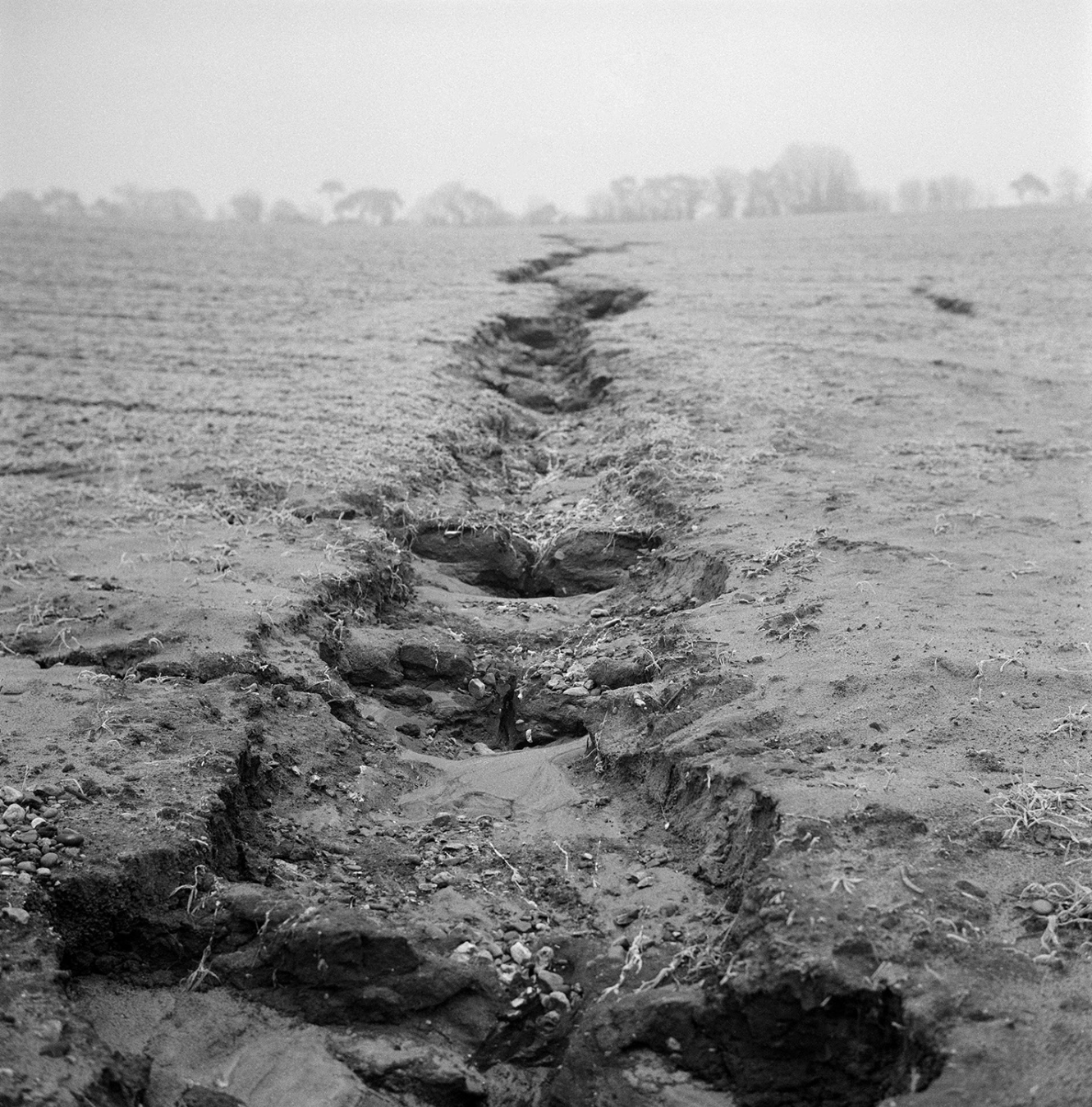  Cracked Earth, Ramsholt  
Silver gelatin print, edition of 5 
40 × 50 cm 
£ 
 