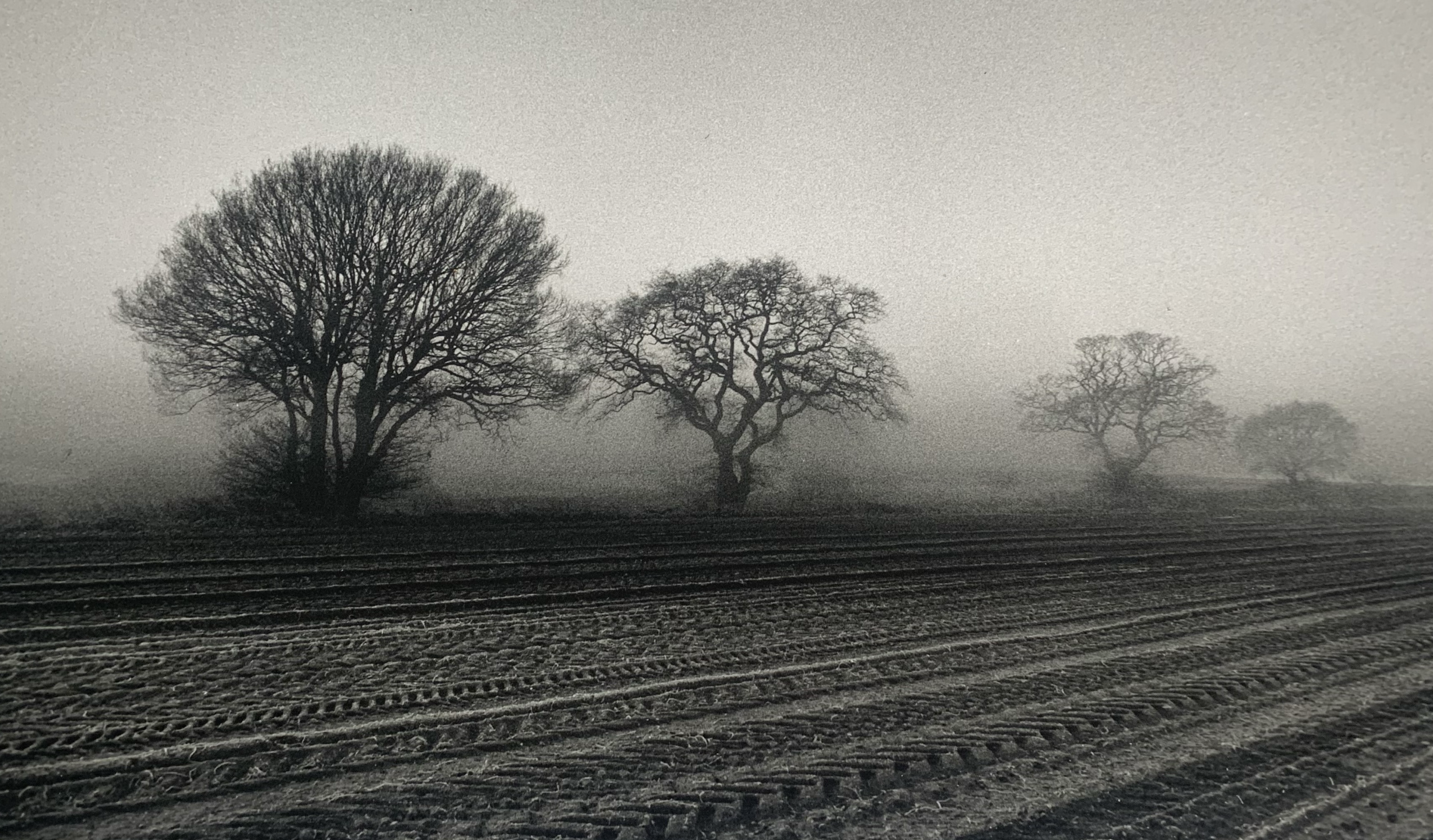  Winter by the Marshes, Ramsholt  
Silver gelatin print, edition of 5 
40 × 50 cm 
£ 
 