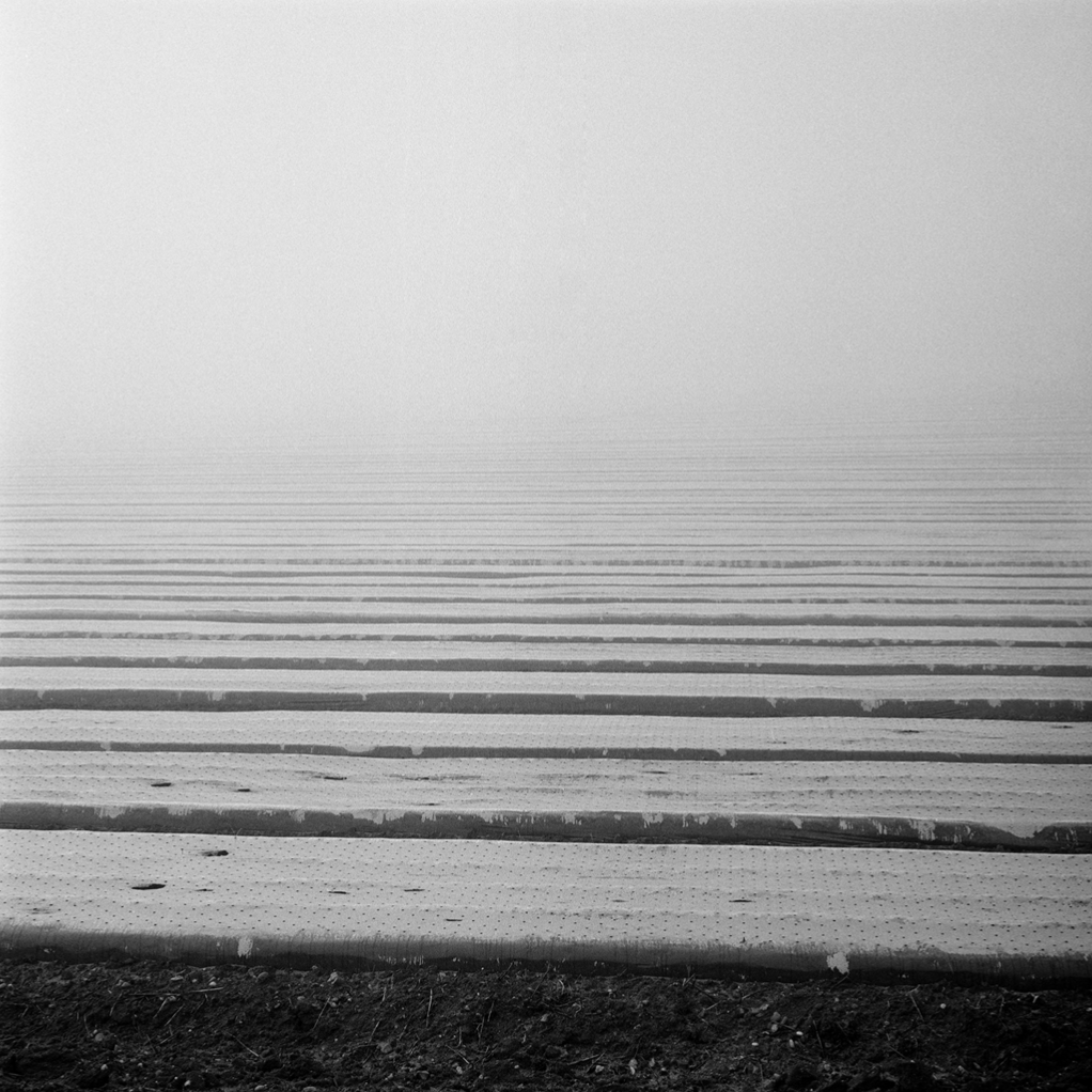  Fog, Ramsholt 1  
Silver gelatin print, edition of 5 
40 × 50 cm 
£ 
 