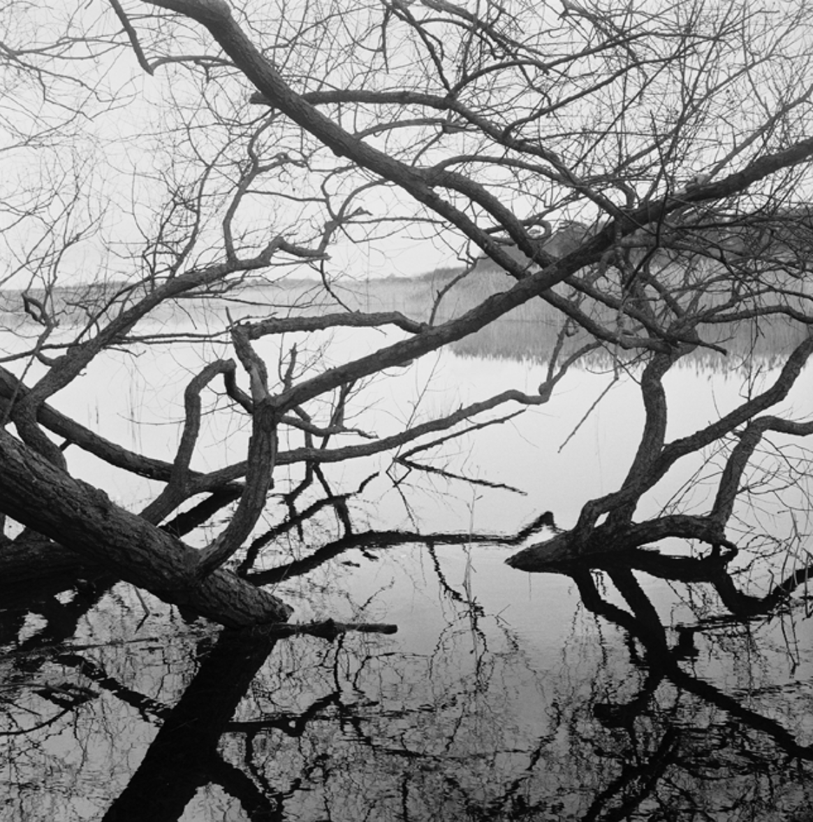  Flooded Water Meadows, Ramsholt 1  
Inkjet print 
127 × 127 cm 
£ 
 
