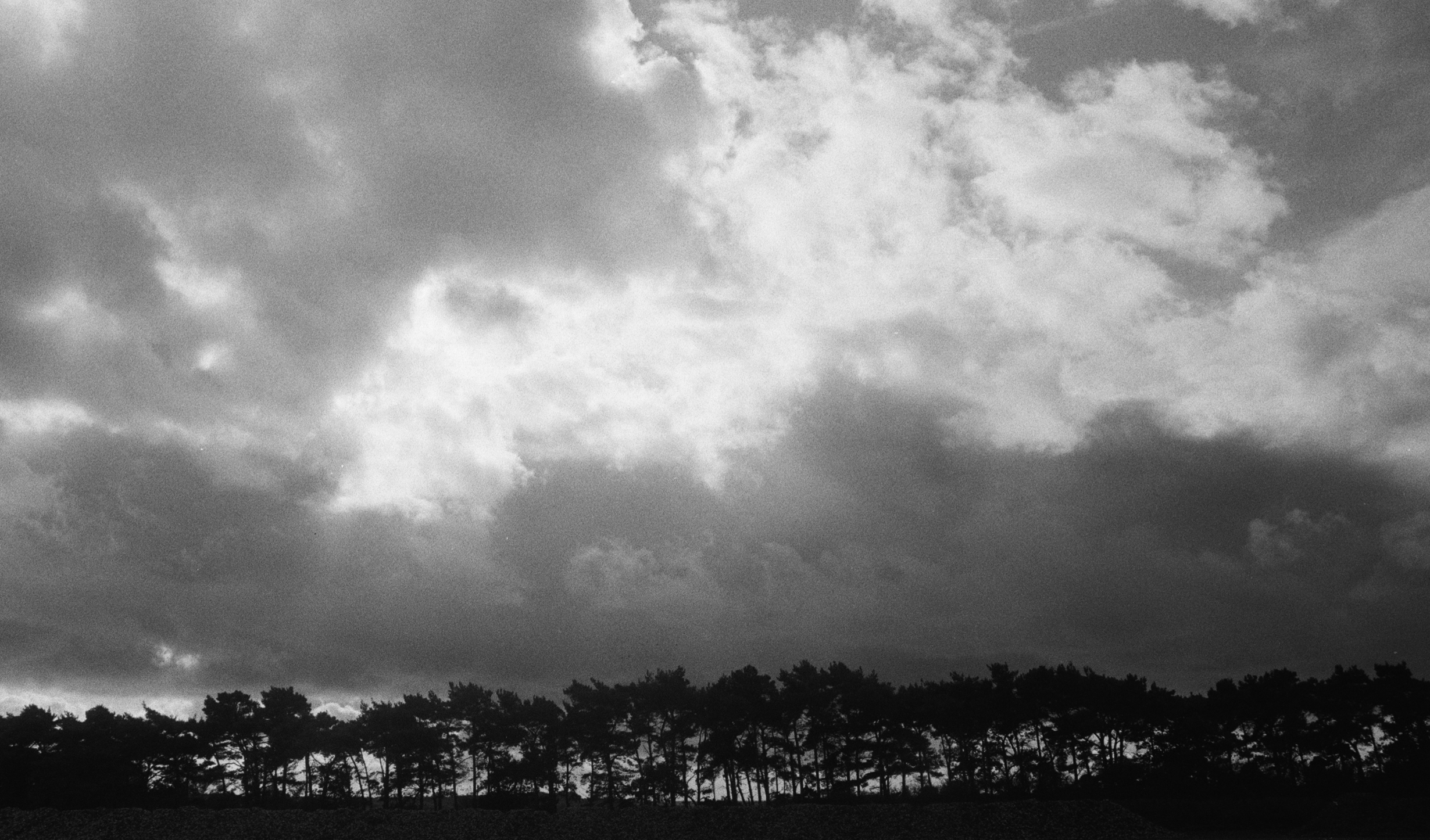  Winter Sky, Ramsholt (I)  
Inkjet print 
127 × 190.5 cm each (2) 
£ 
 