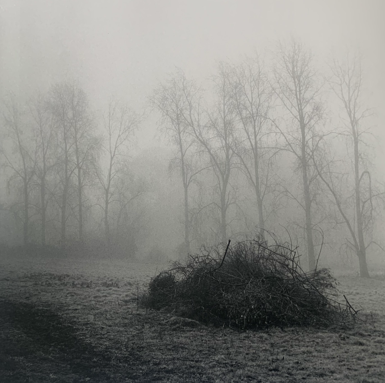  Fog, Ramsholt 2  
Silver gelatin print, edition of 5 
40 × 50 cm 
£ 
 