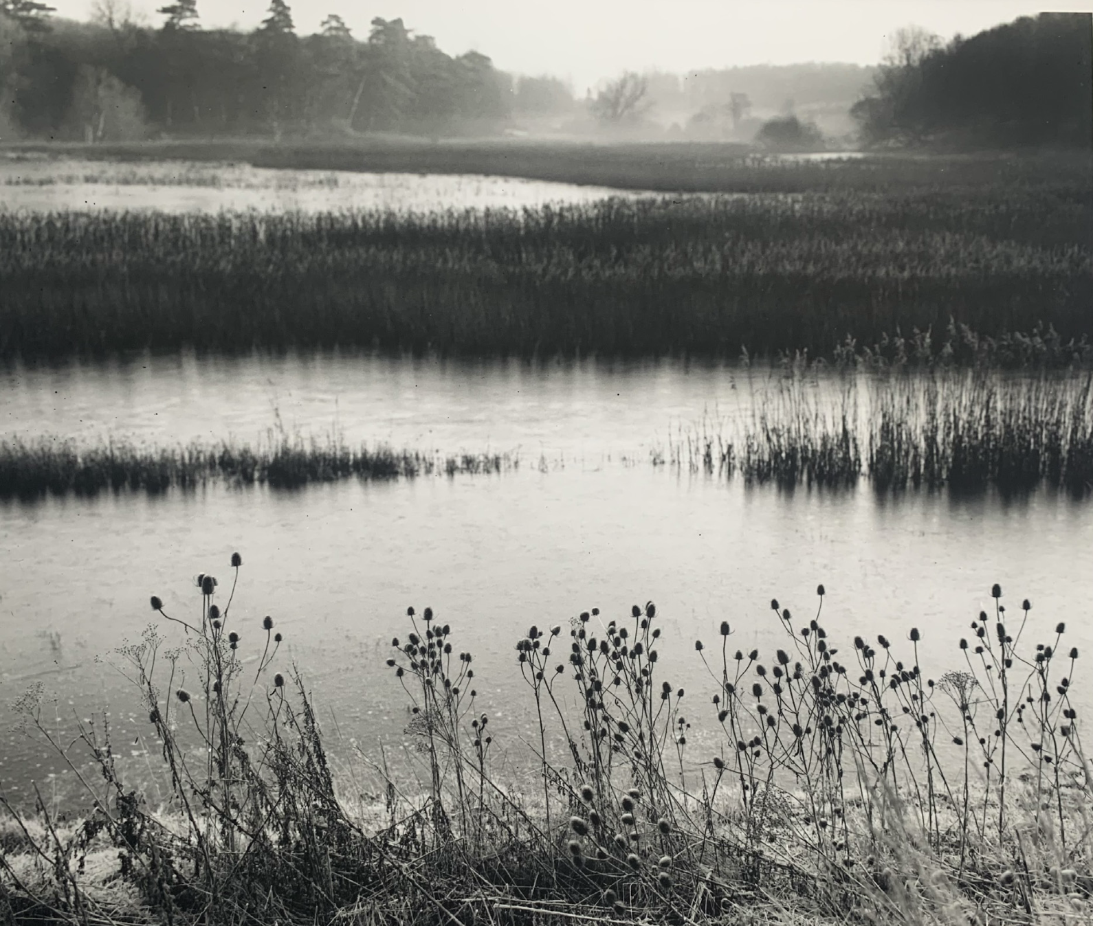  Flooded Water Meadows from River Wall, Ramsholt  
Silver gelatin print, edition of 5 
40 × 50 cm 
£ 
 