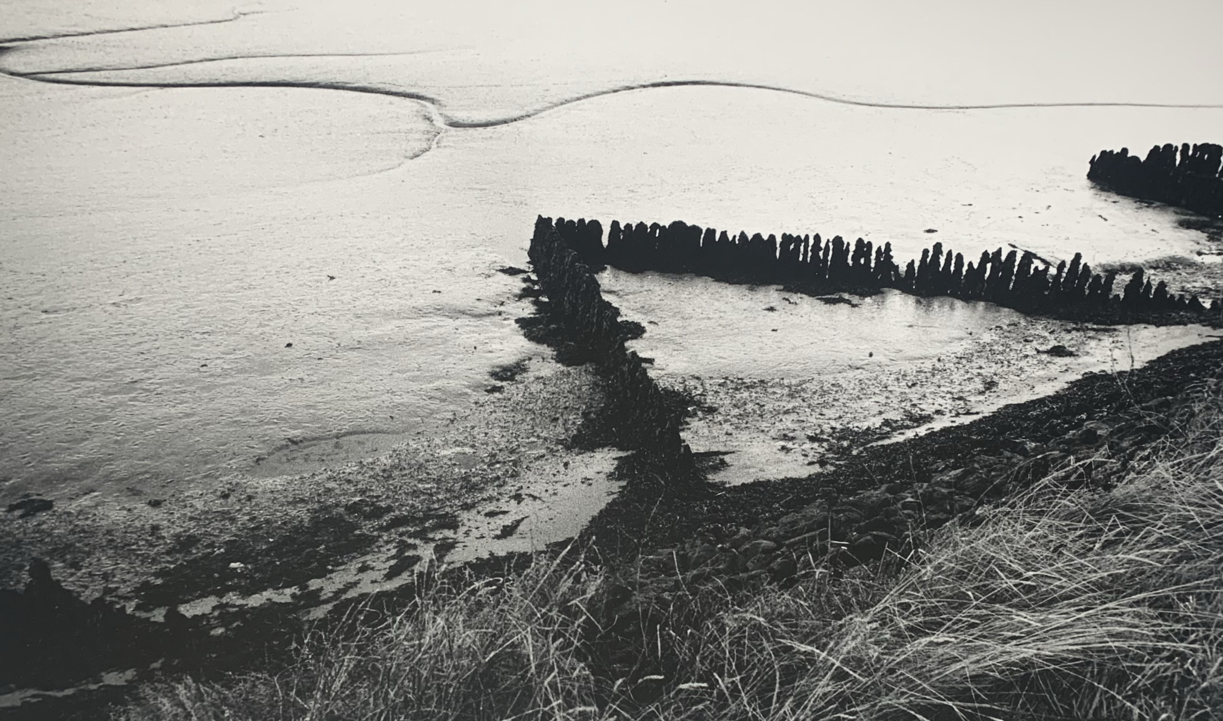  Groynes, River Wall, Ramsholt 1  
Silver gelatin print, edition of 5 
40 × 50 cm 
£ 
 