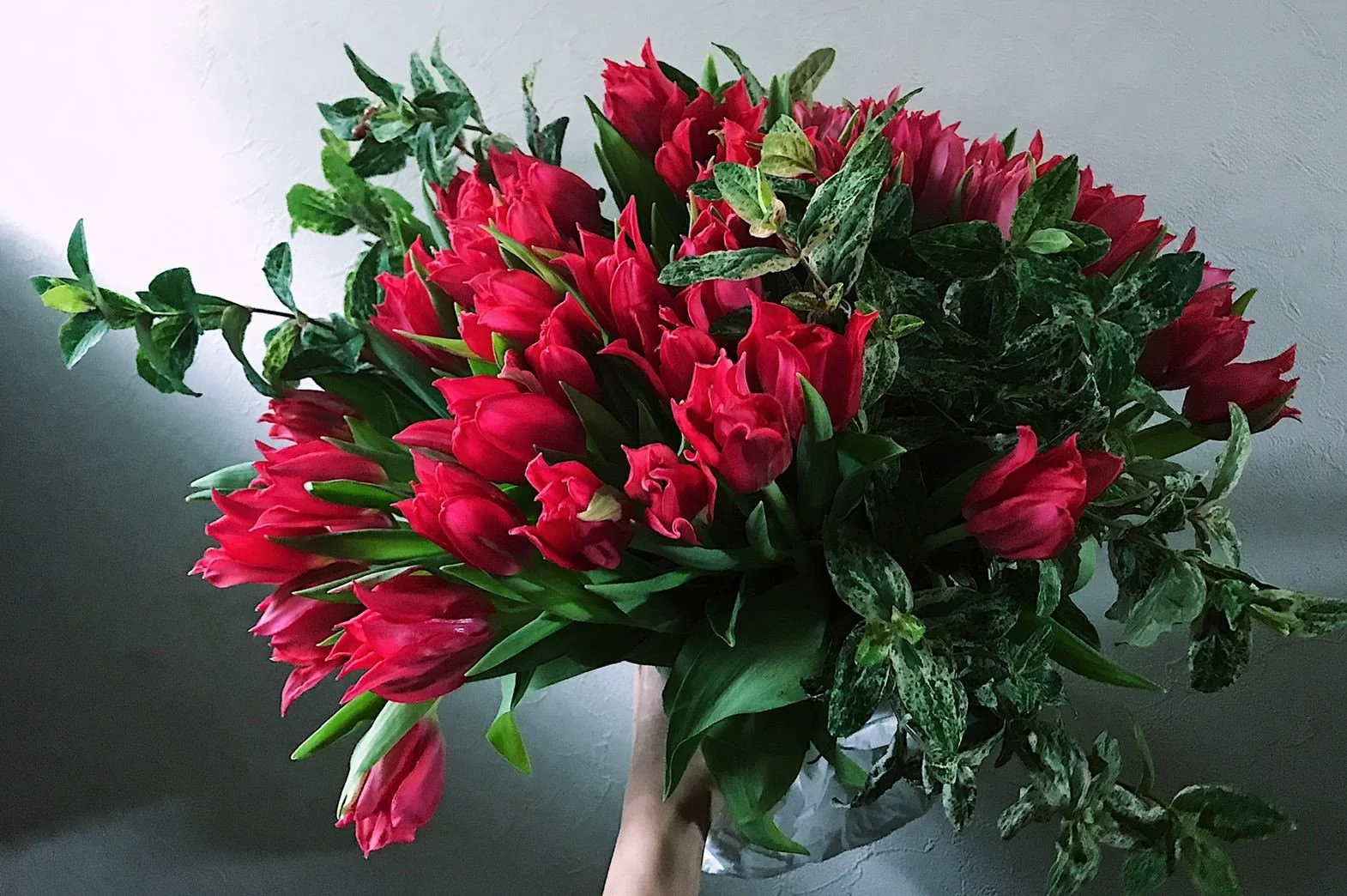 LINE_ALBUM_220807_2.jpg