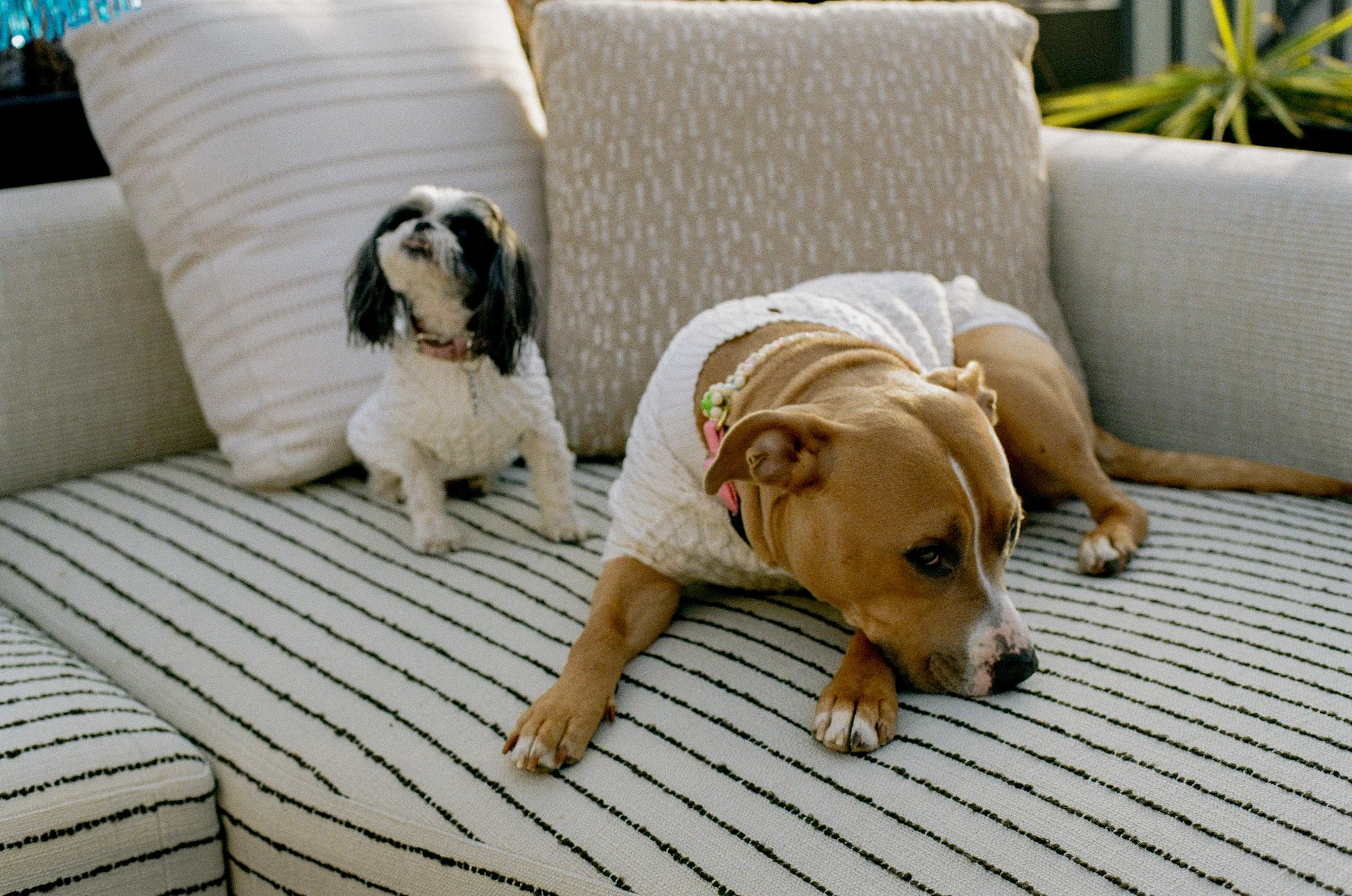 MIA + ADAM 4.3.26-309.jpg