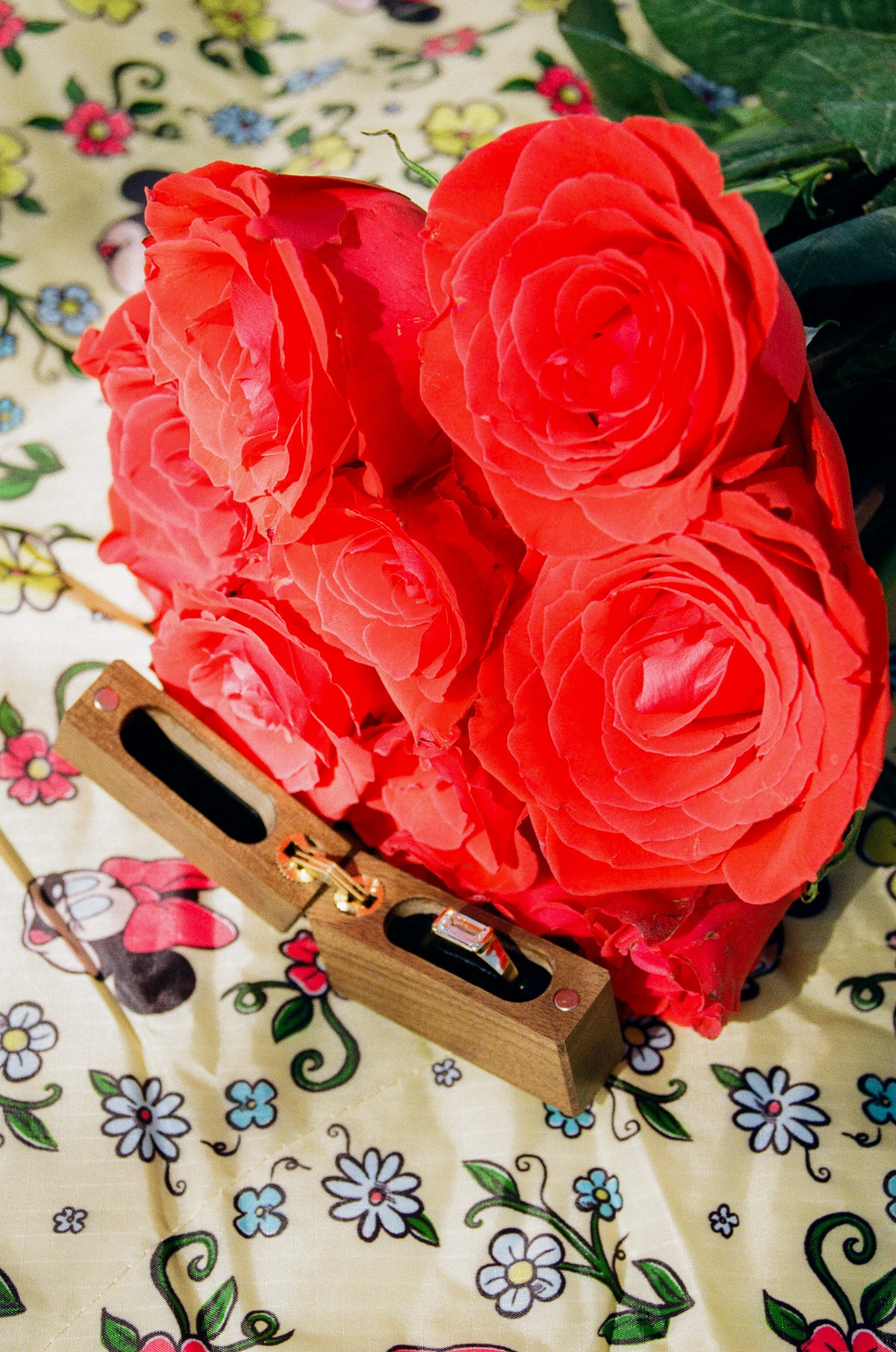 Belle Isle Proposal 3.27-118.jpg