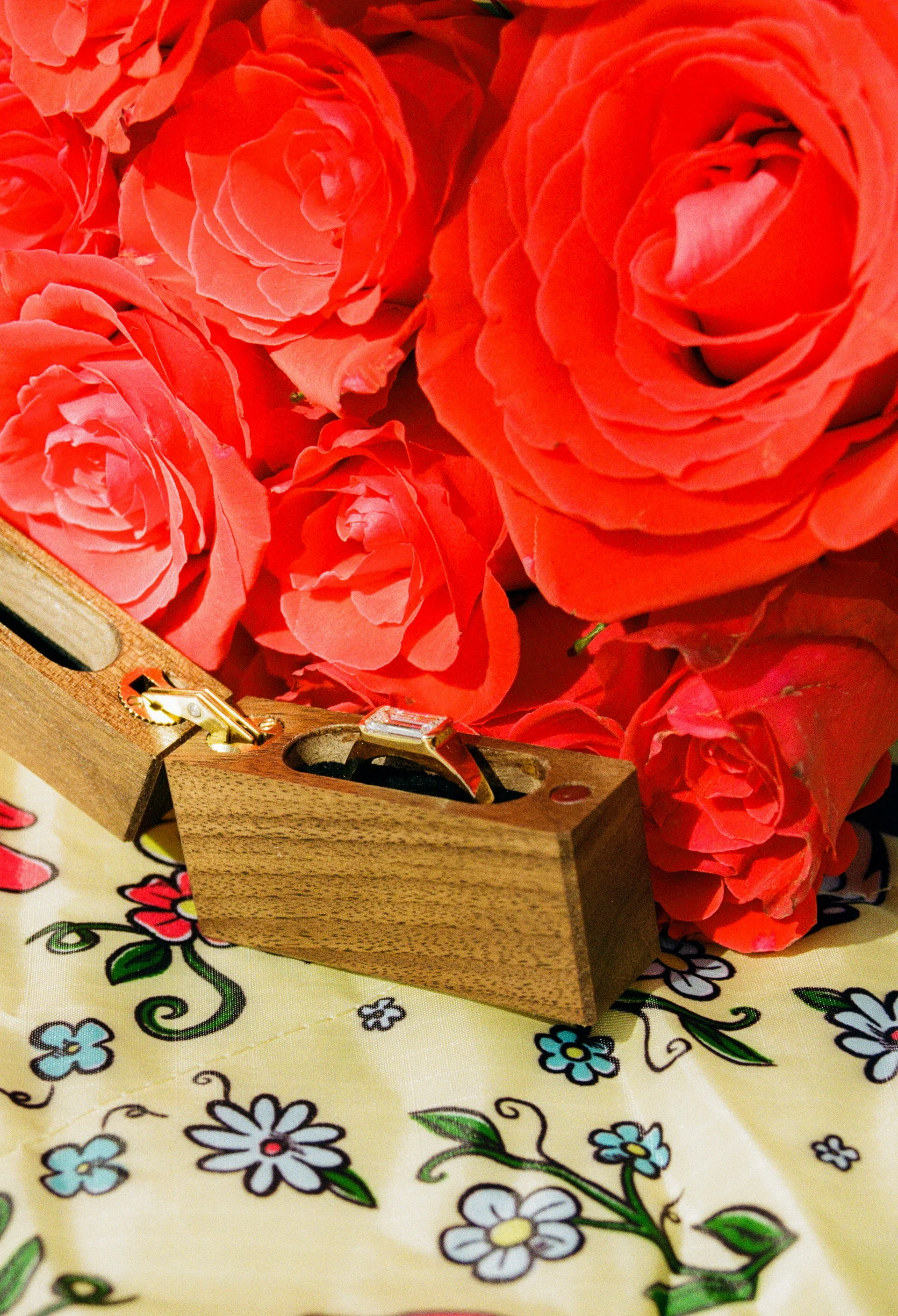 Belle Isle Proposal 3.27-115.jpg