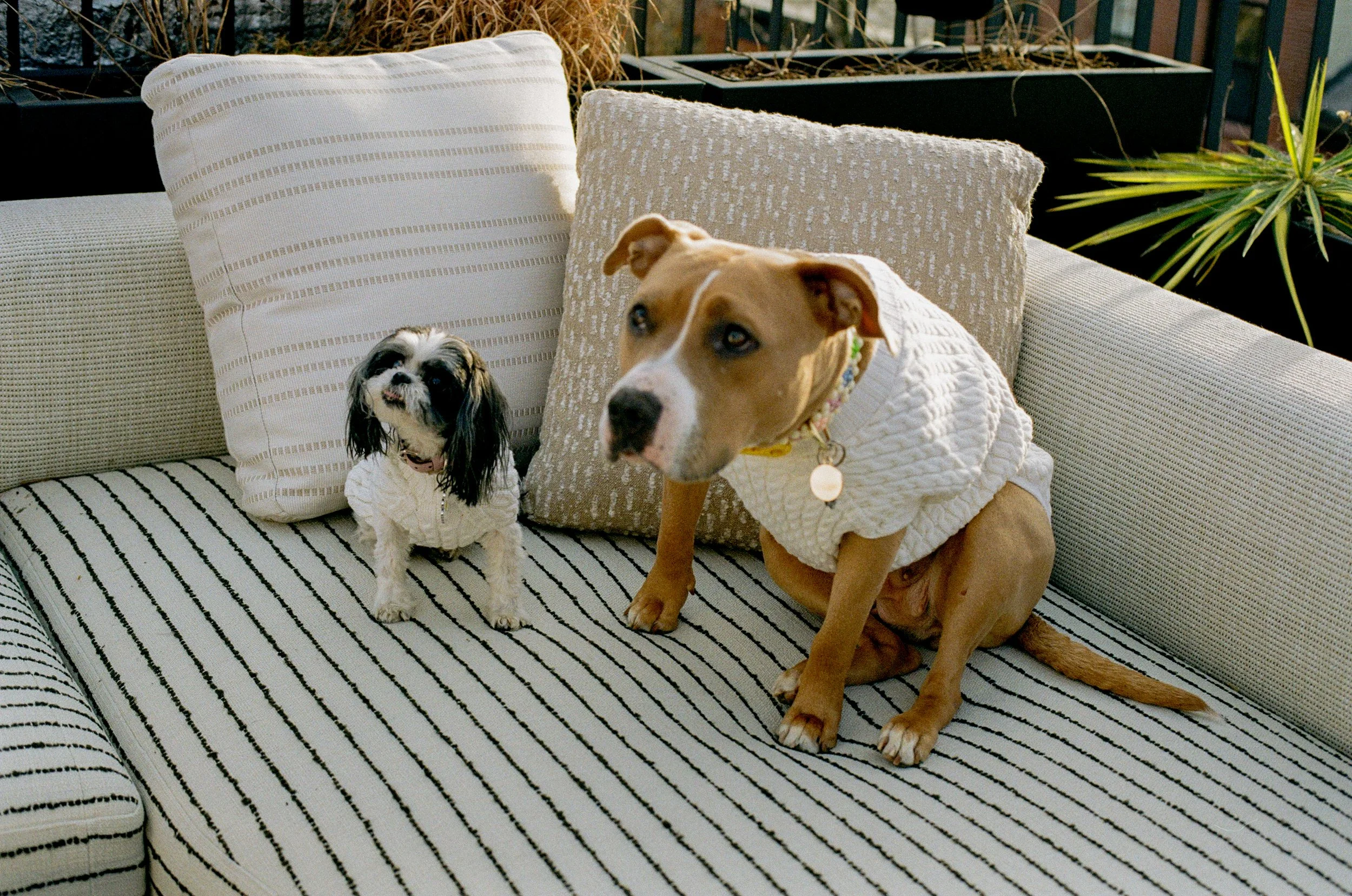 MIA + ADAM 4.3.26-304.jpg