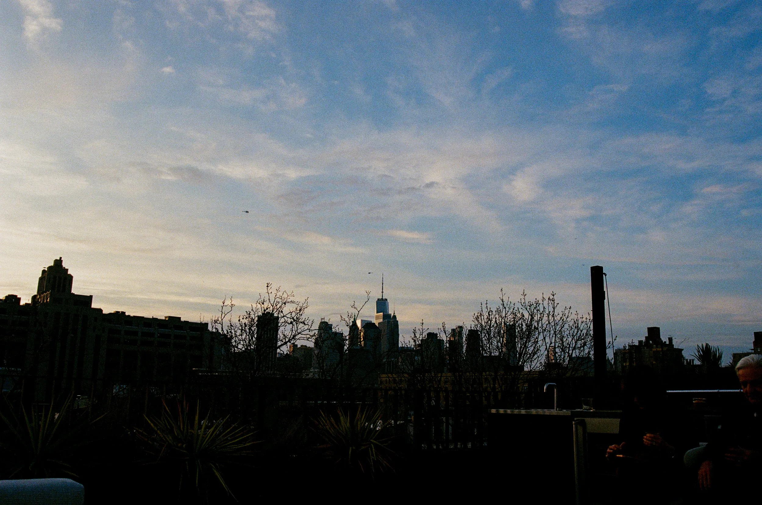 MIA + ADAM 4.3.26-193.jpg