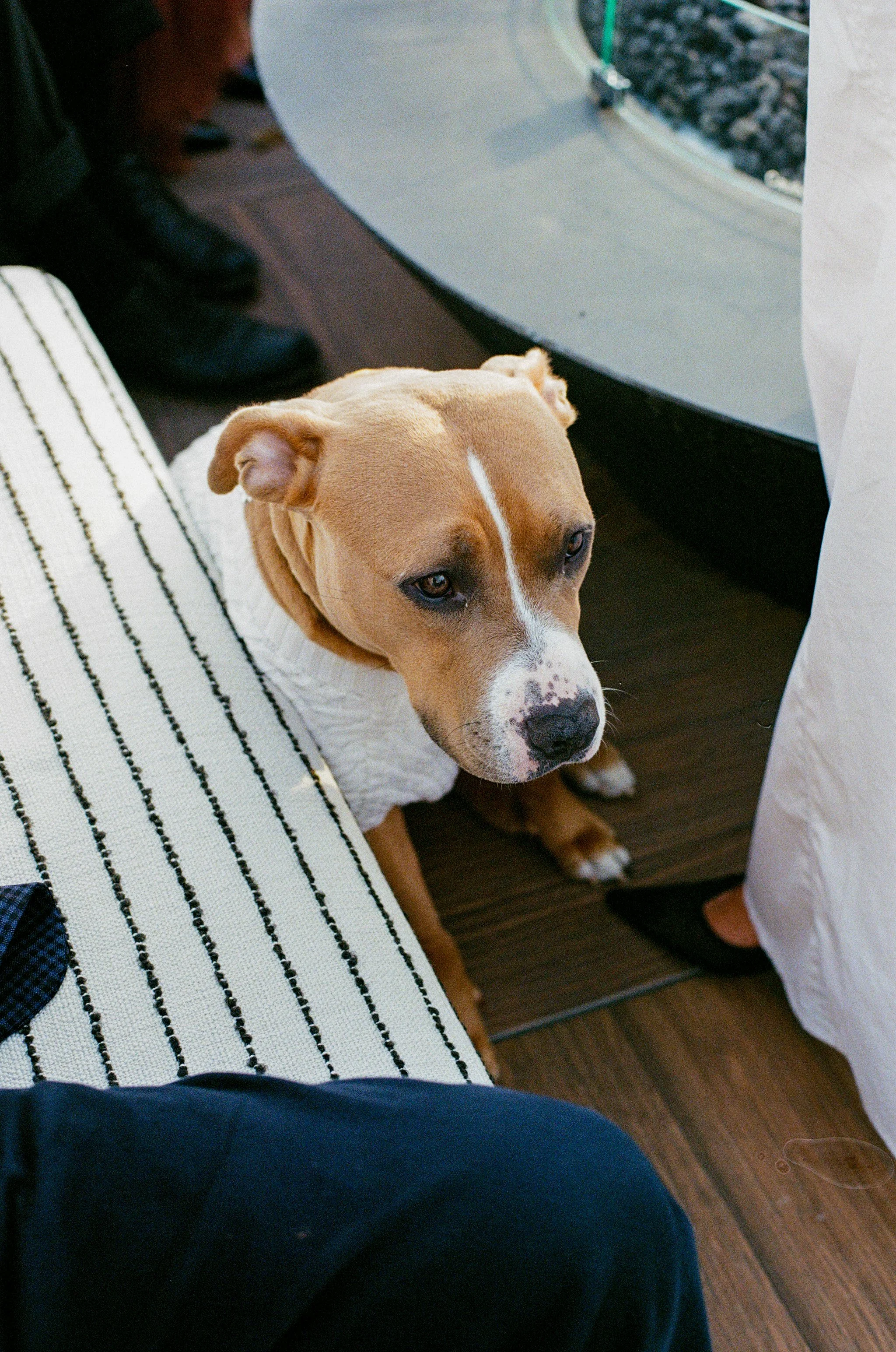 MIA + ADAM 4.3.26-49.jpg