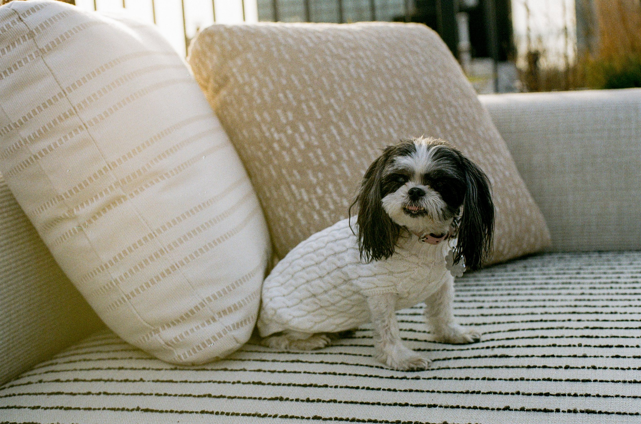 MIA + ADAM 4.3.26-9.jpg