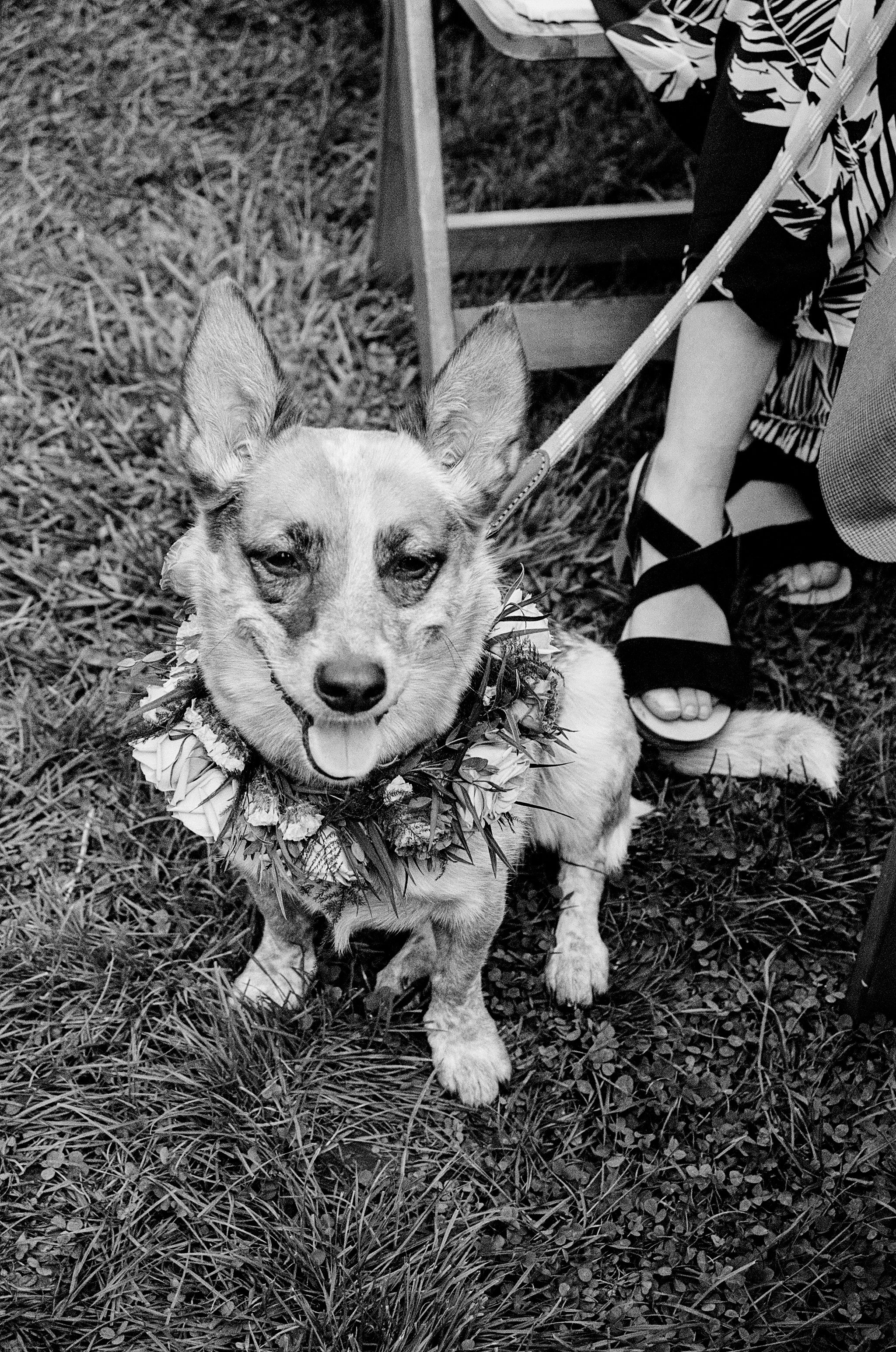 drake + jozy wedding 9.26.26-600.jpg