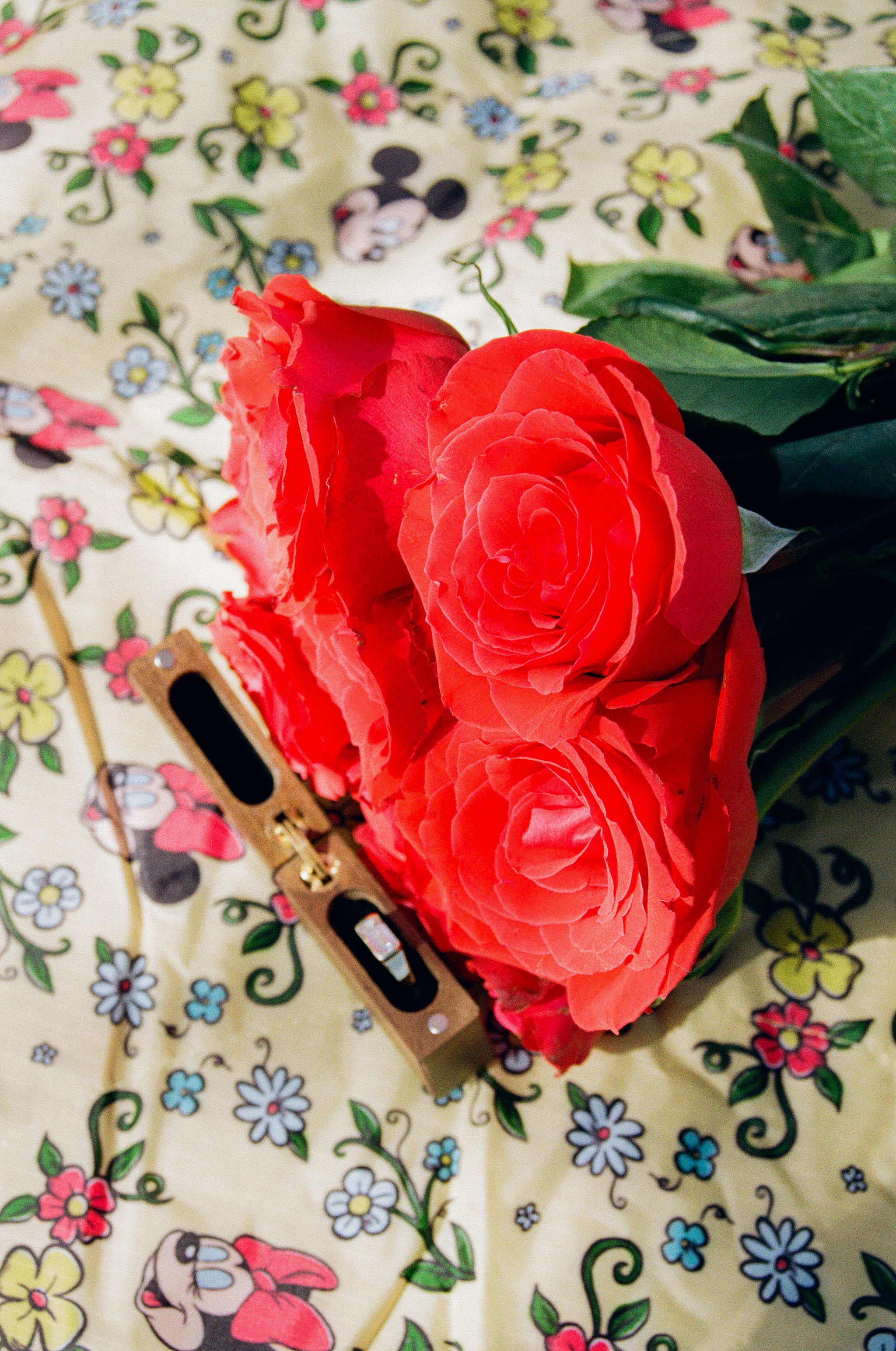 Belle Isle Proposal 3.27-116.jpg