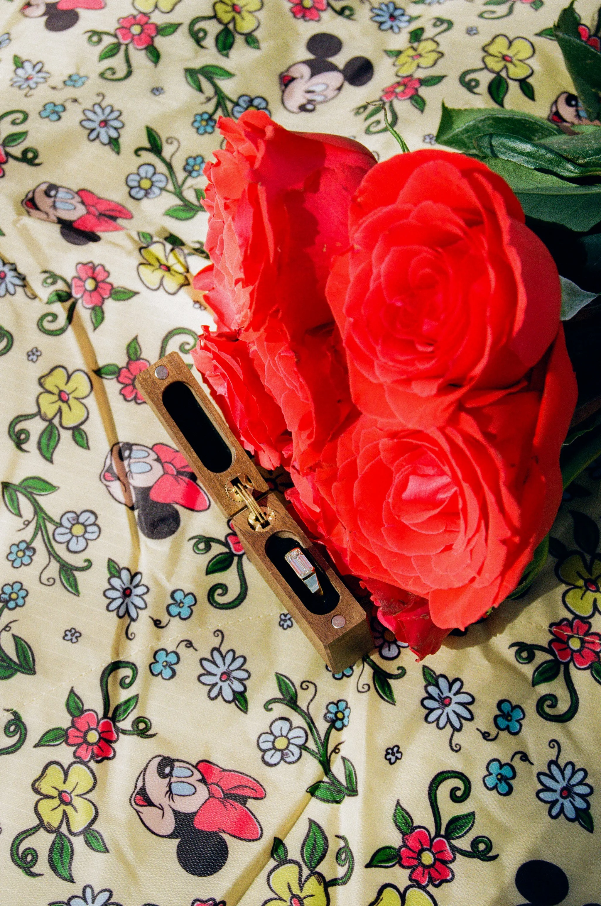 Belle Isle Proposal 3.27-113.jpg