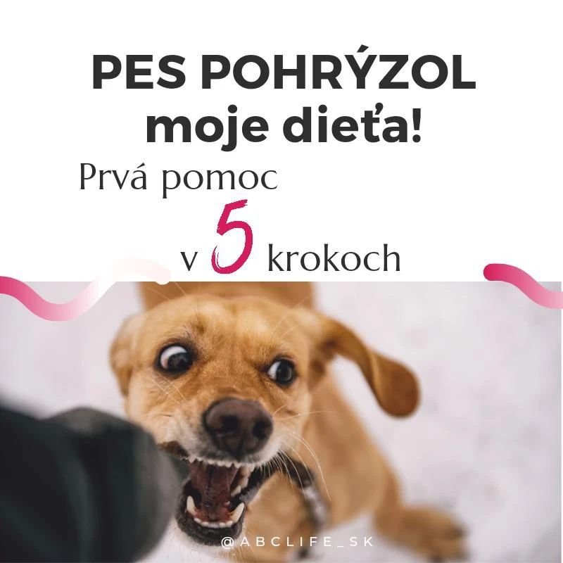 Čo robiť, ak v&aacute;s alebo va&scaron;e dieťa uhryzne PES? 🐕&zwj;🦺

Uhryznutie psom tvor&iacute; až 80% celkov&eacute;ho počtu poranen&iacute; sp&ocirc;soben&yacute;ch zvieratami. D&ocirc;ležit&eacute; je v prvom rade dostať sa na bezpečn&eacute;