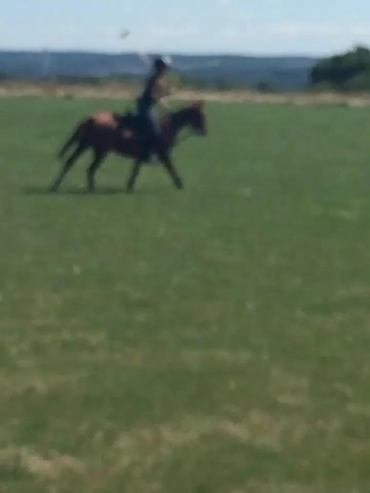 The good ol&rsquo; days!

Some of my favourite memories from 2016 💫