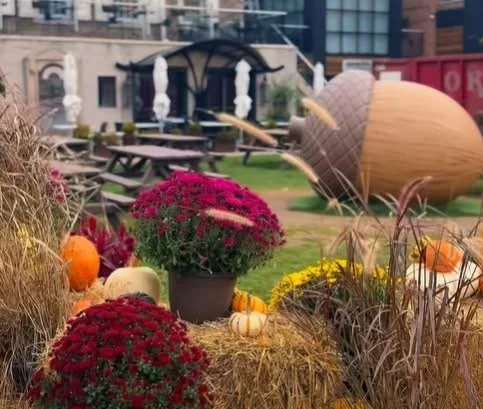 Things to Do in Oakville &amp; Burlington This October