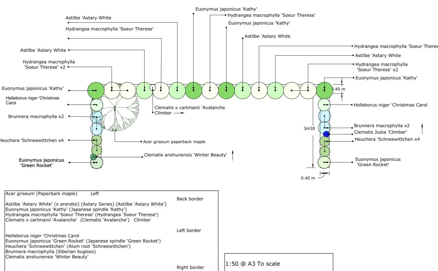 Diagram of a garden layout showing various plant species with labels, circles, and arrows indicating positions and connections, including Acer griseum, Astilbe 'Astary White', Hydrangea macrophylla 'Soeur Therese', Euonymus japonicus 'Kathy', and others.