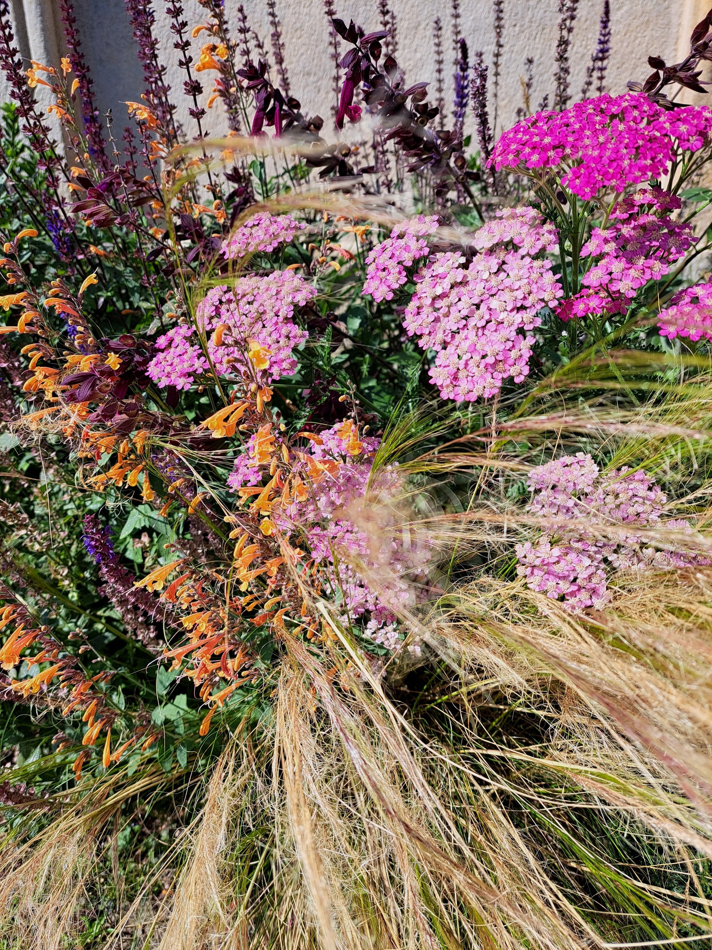 A lush garden bed with pink and purple flowers, orange and purple lilies, and tall, wispy ornamental grasses.