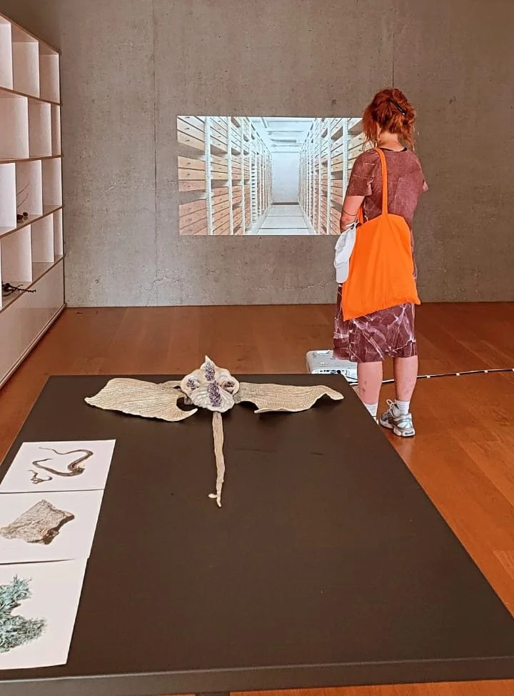 WhatsApp Image 2023-08-01 at 2.57.57 PM copy.jpg