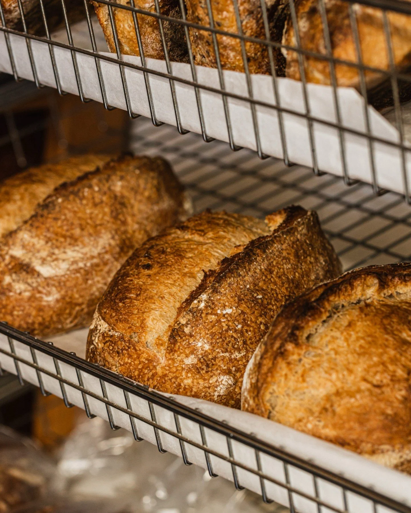 taste.baguette_1719399608_3398892701344041562_5891508588.jpg