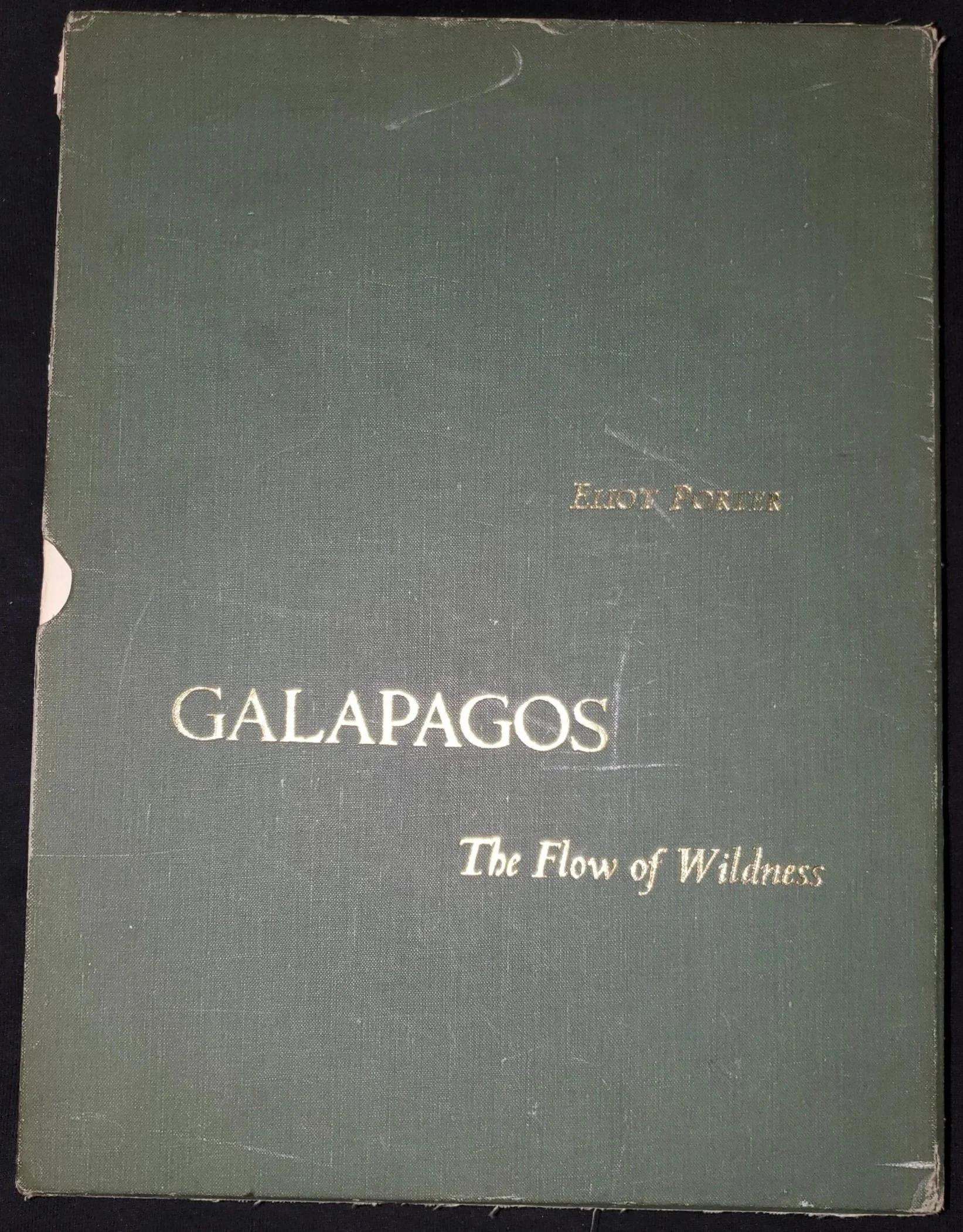 Galapagos: The Flow of Wildness