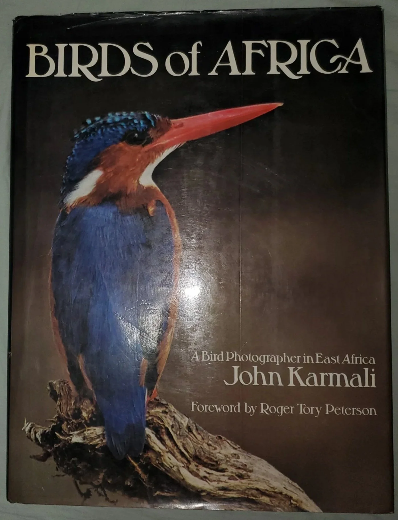 Birds of Africa: A Photographic Journey