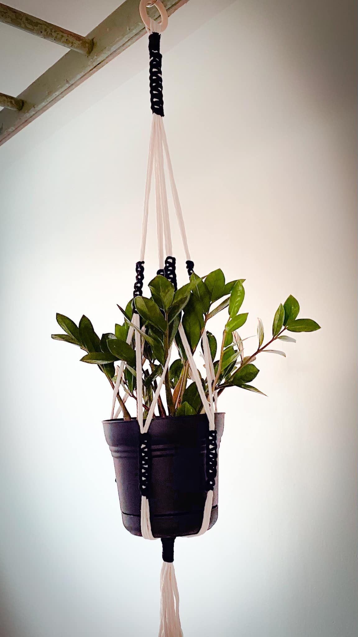 https://i.etsystatic.com/19732264/r/il/301671/2659011423/il_fullxfull.2659011423_idjq.jpg