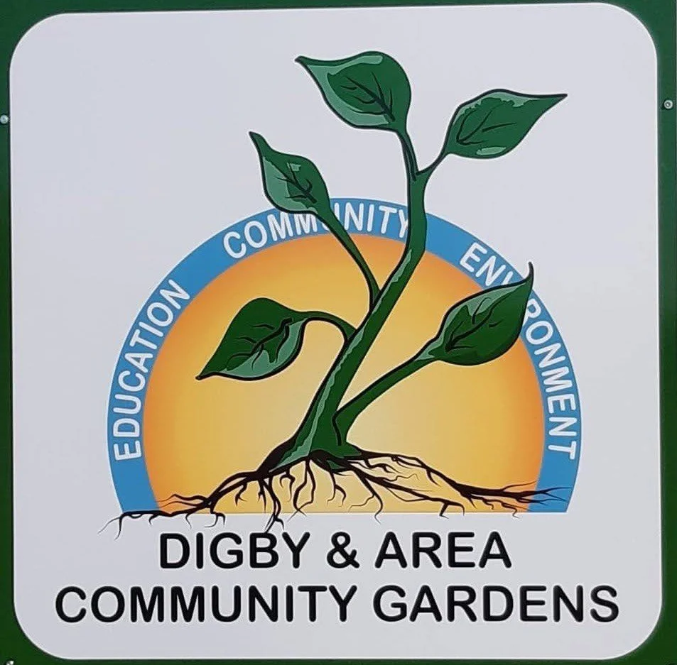 Plant Walk & Intro to Herbalism
