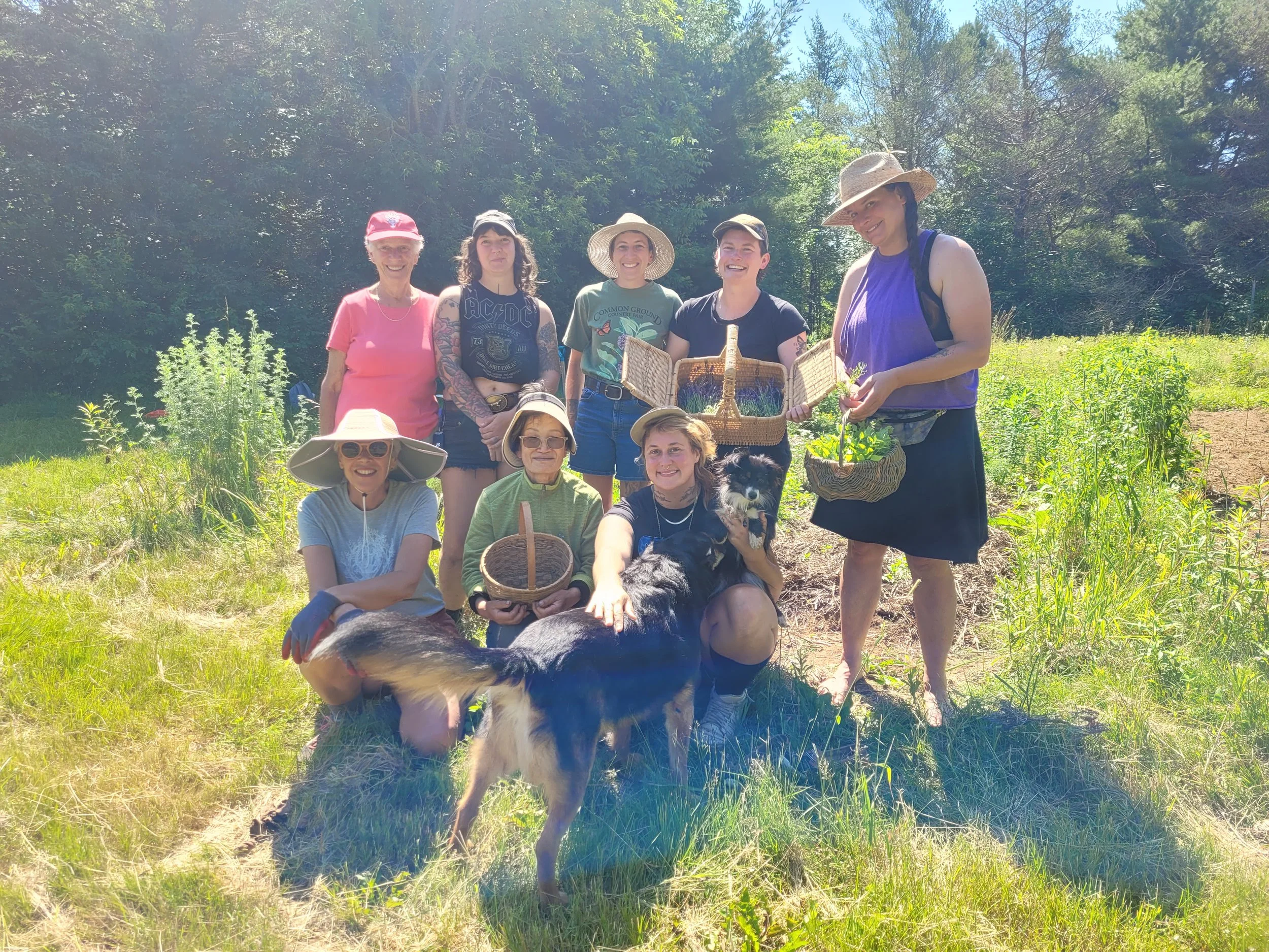 Backyard Remedies (with Ember)