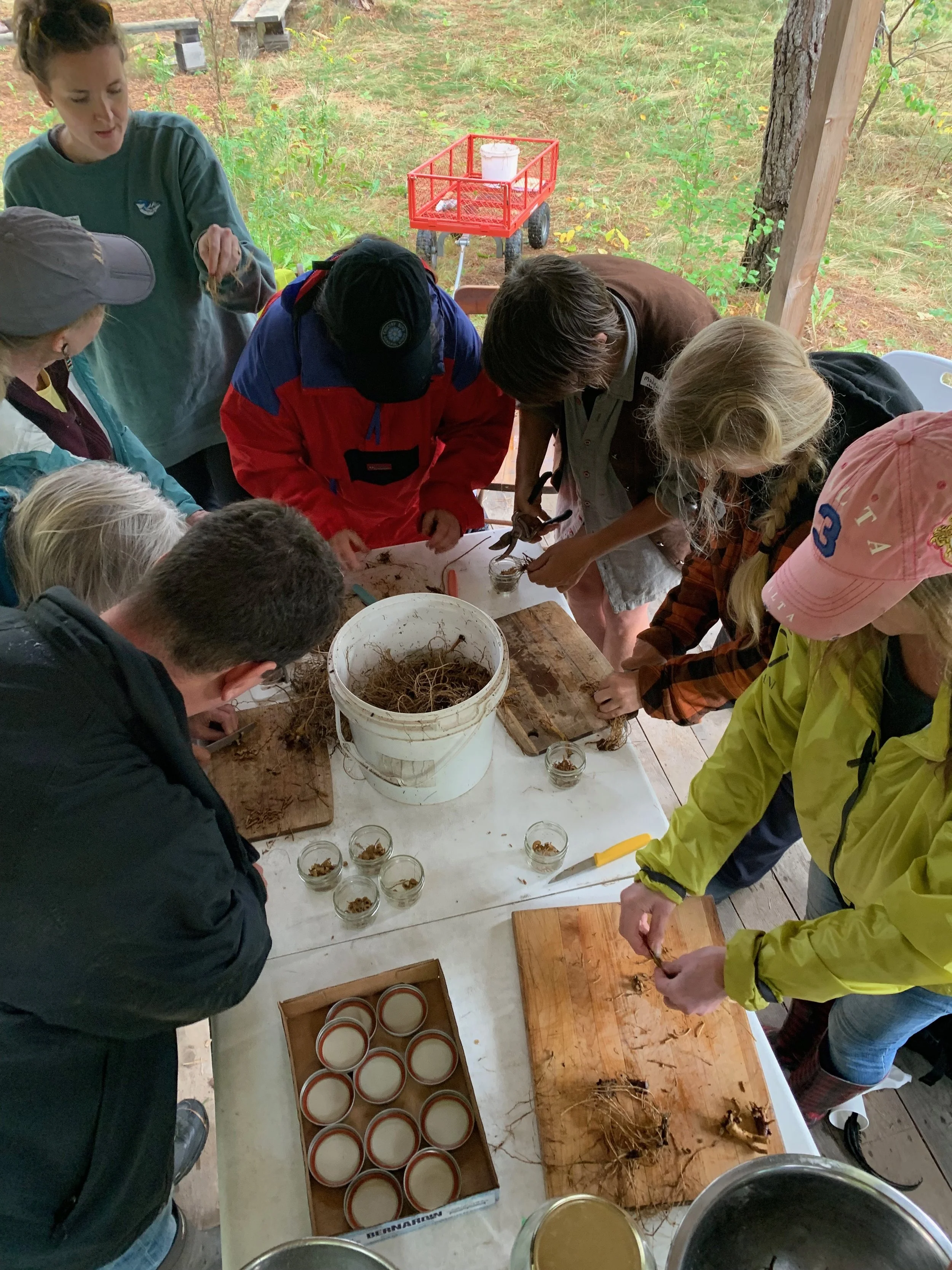 Roots & Barks Solidarity Medicine Making Day