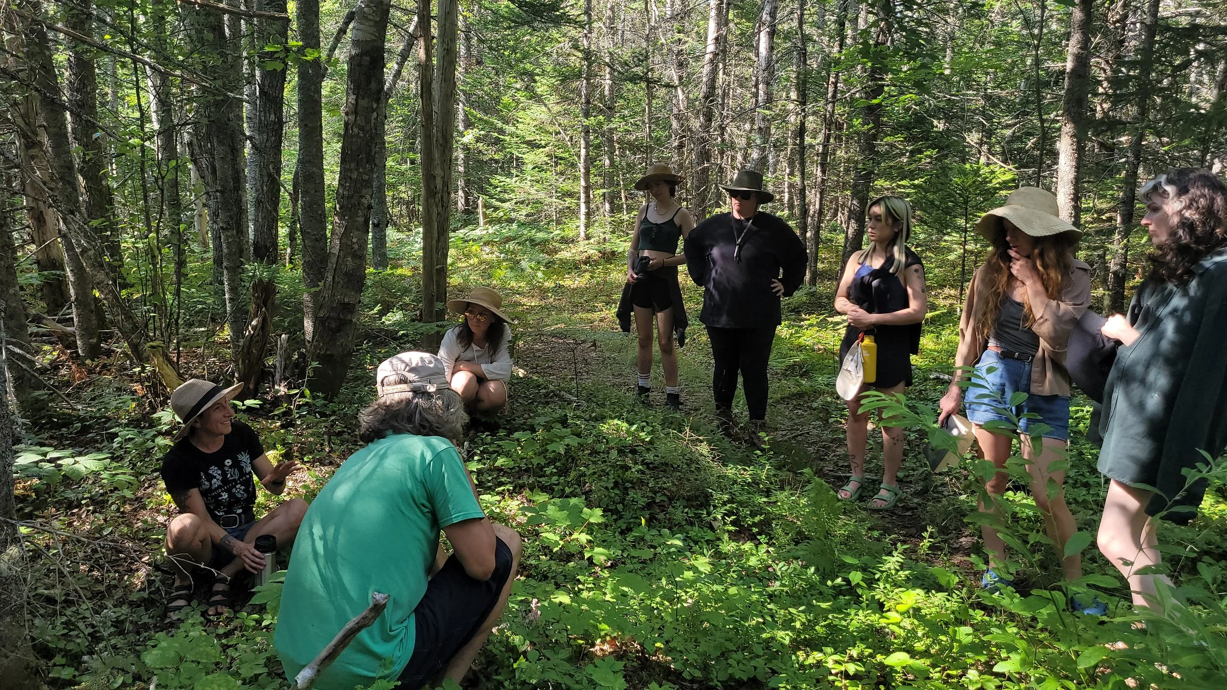 Wild Medicine Walk - Graves Island (with Oren)