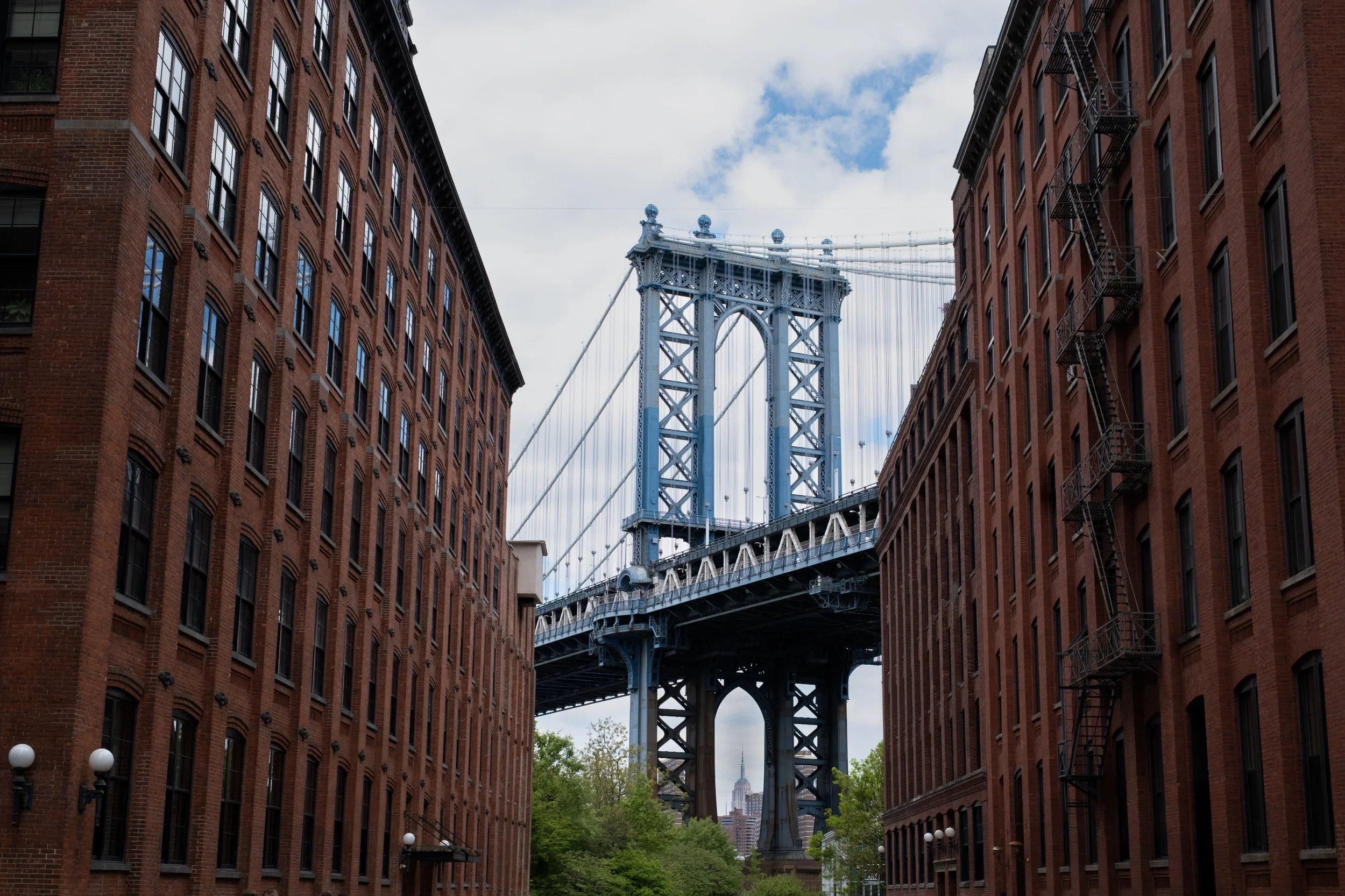 dumbo.jpg