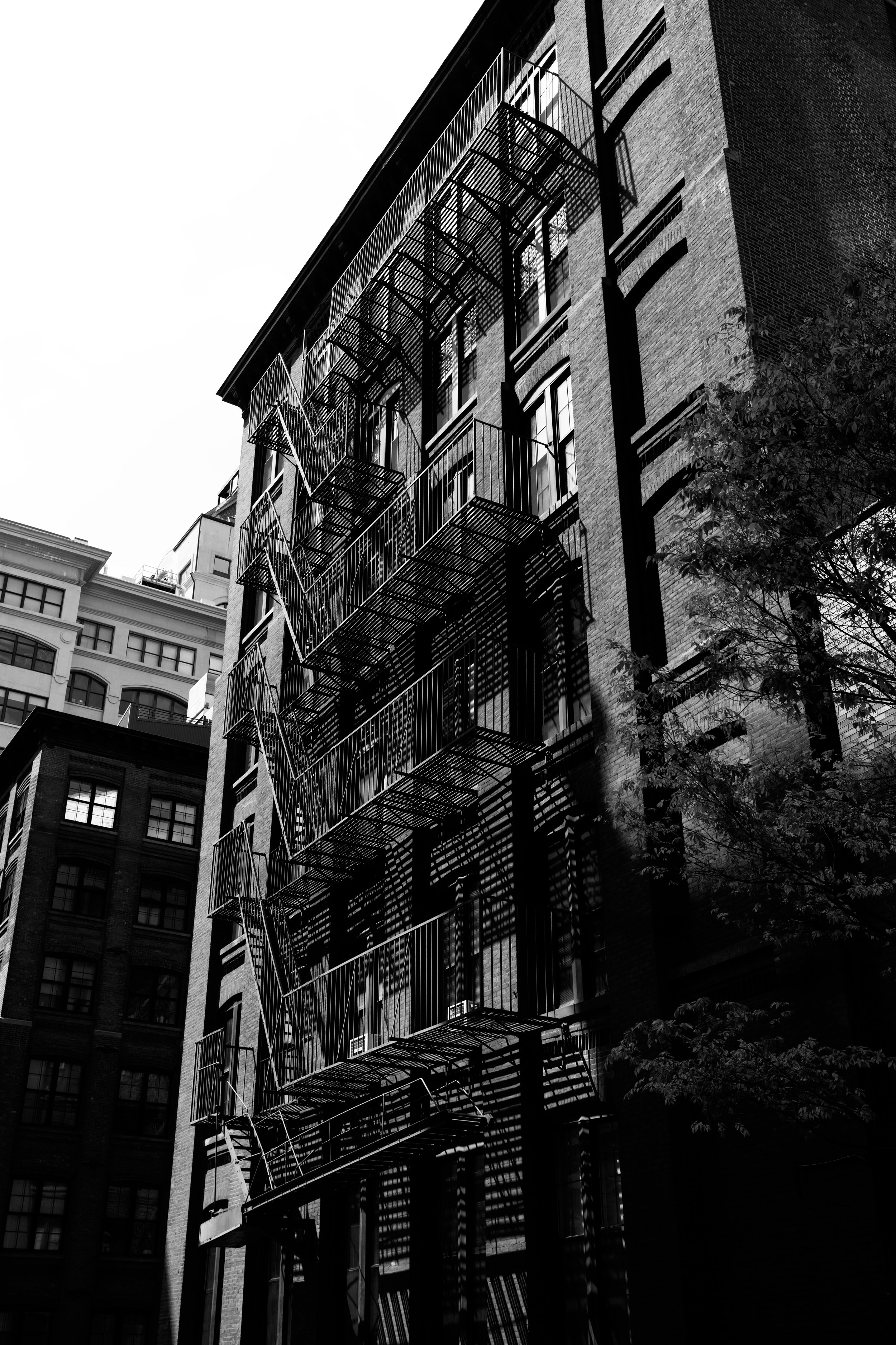Light and Ladders.jpg