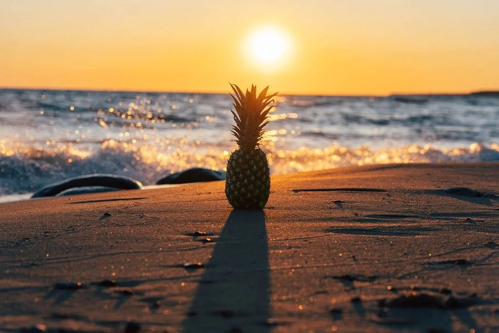 Flora’s Walk Fundraiser