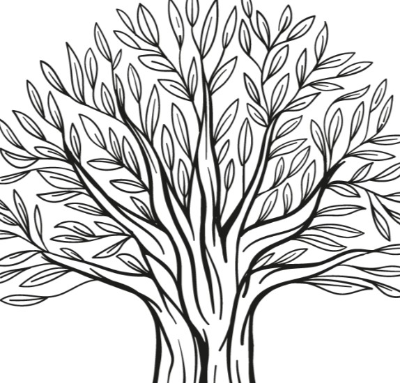 Screen Shot 2022-08-02 at 12.42.49 PM.png