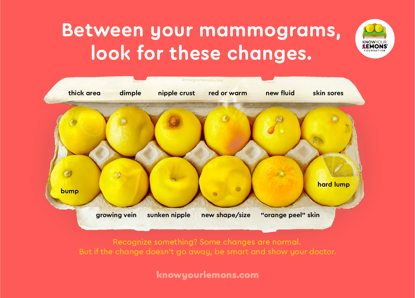 Early Signs of Breast Cancer Perfectly Illustrated in Photo of Lemons -  Prevention Article — Know Your Lemons® for Early Detection